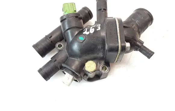 Thermostat/thermostat housing