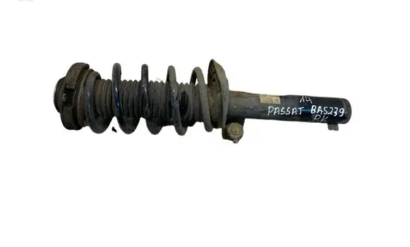 Volkswagen PASSAT B7 Front shock absorber with coil spring 3AA413031 824904008629