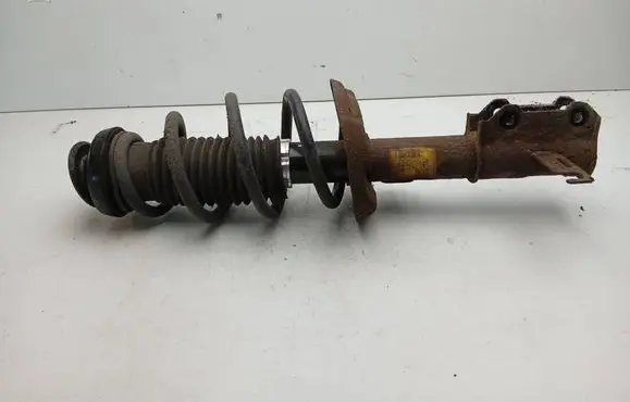 Opel Ampera Front shock absorber/damper 13329595 25992782