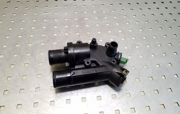 Thermostat/thermostat housing
