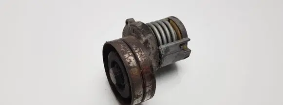 Skoda Fabia Mk1 (6Y) Generator/alternator belt tensioner 038903315T