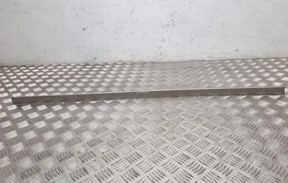 Front door trim (molding)