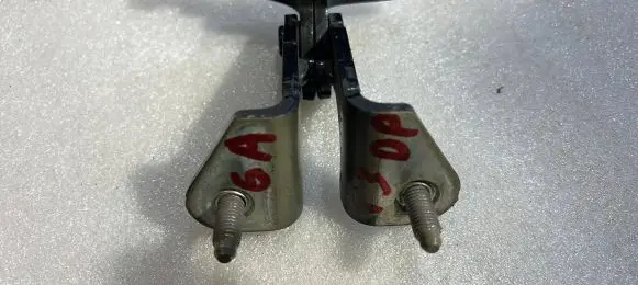 Tesla Model 3 Rear door hinge set 
