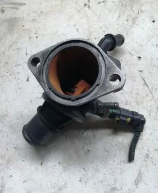 Thermostat/thermostat housing