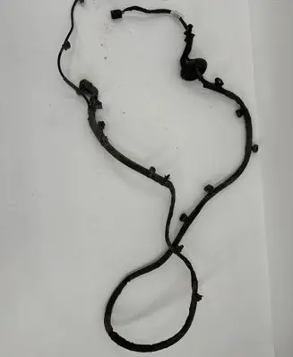Other wiring loom