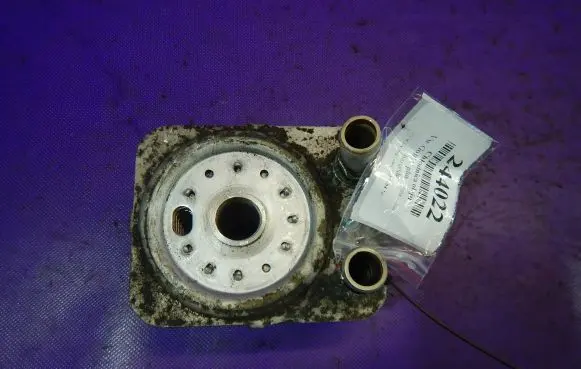 Volkswagen Golf V Engine oil radiator 