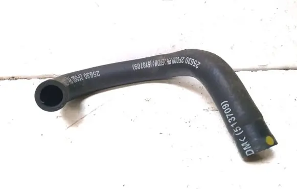 Hyundai Santa Fe Air intake hose/pipe 256302F000