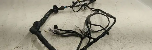 Subaru Outback (BT) Front door wiring loom 81821AN01A