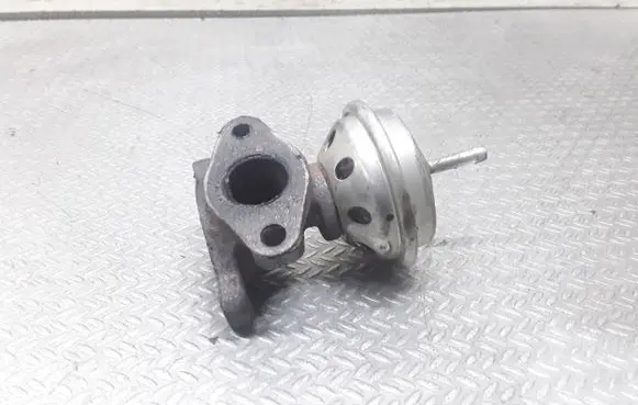 Volkswagen PASSAT B5 EGR valve 028131501E