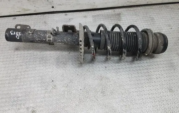 Skoda Fabia Mk2 (5J) Front shock absorber with coil spring 6Q0413031