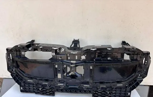 BMW 5 G60 G61 Front grill 5A1D079