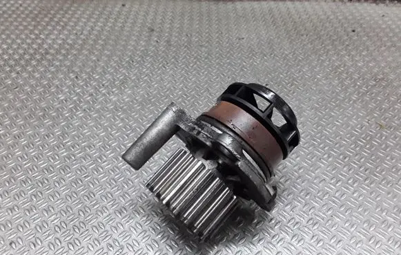 Volkswagen PASSAT B5.5 Water pump