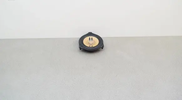 Panel speaker