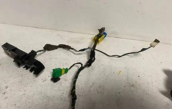 Citroen C4 I Front door wiring loom 9662483780 624837