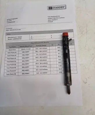 Renault Kangoo I Fuel injector EJBR04101D 8200553570