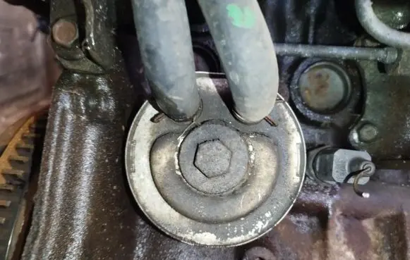 Nissan Almera Tino Engine oil radiator 