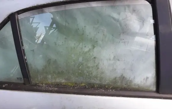 Renault Laguna II Rear door window glass