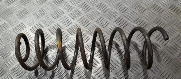 Rear coil spring