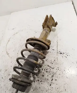 Fiat Bravo Front shock absorber with coil spring 50708894