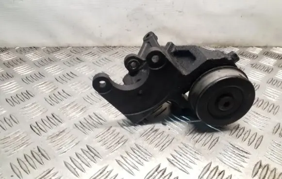 Hyundai Terracan Power steering pump mounting bracket 