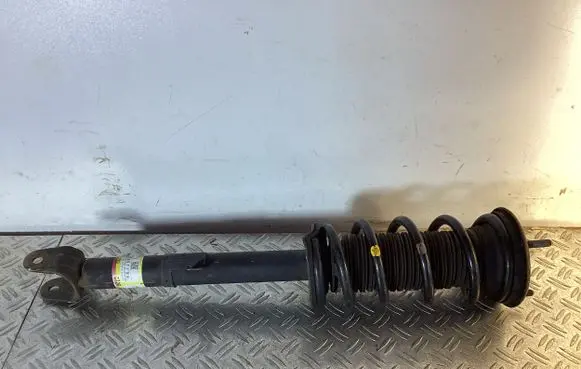Lexus RC Front shock absorber with coil spring 4851024380