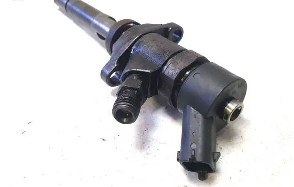 Citroen C4 I Picasso Fuel injector 0445110188