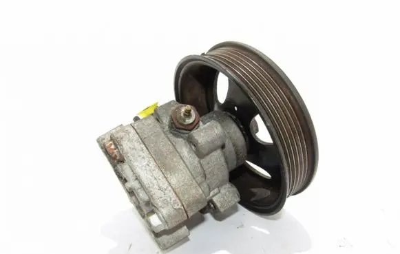 KIA Carens II Power steering pump