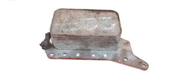 Nissan Qashqai Engine oil radiator 70375890 R9M405