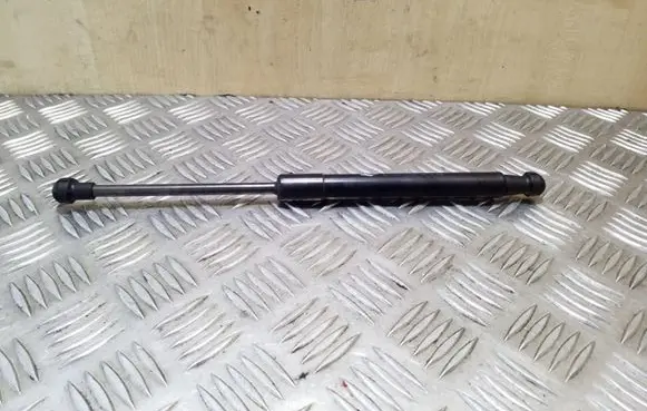Front bonnet/hood damper/strut
