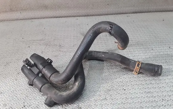 Renault Scenic I Engine coolant pipe/hose