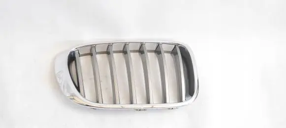BMW X3 F25 Front grill 7419888