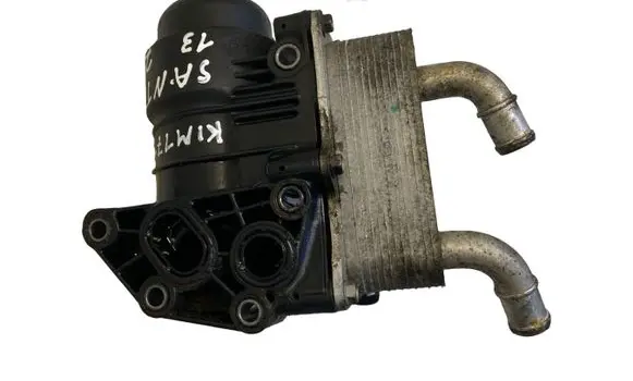 Hyundai Santa Fe Oil filter mounting bracket 264102F020