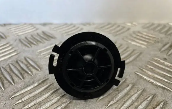 Front door high frequency speaker