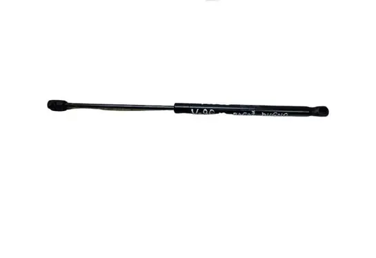 Tailgate strut