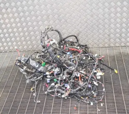 Tesla Model 3 Other wiring loom 106796004E 106876700F
