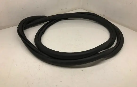 Ford Focus Rear door rubber seal (on body) JX7BN253A10AE