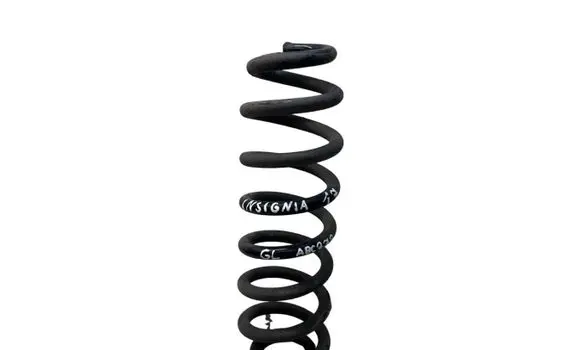 Opel Insignia B Rear coil spring AA6K
