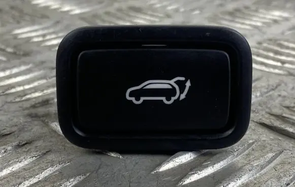 Hyundai Santa Fe Tailgate/boot open switch button 299185059