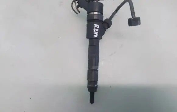 Renault Megane II Fuel injector 8200389369