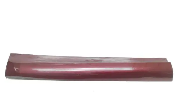 Rear door trim (molding)