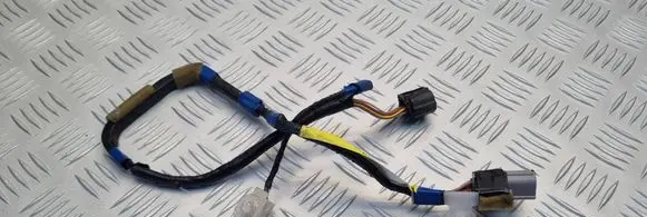 Lexus IS 220D-250-350 Front door wiring loom 8974653020