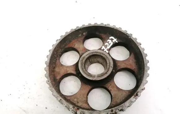 Audi 100 S4 C4 Camshaft pulley/ VANOS 069109111