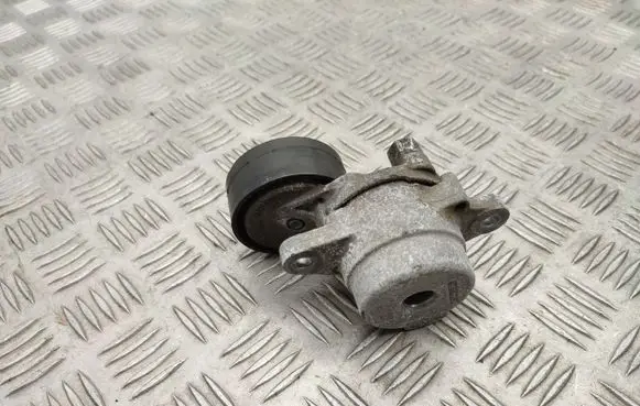 Fiat Doblo III Generator/alternator belt tensioner 9826265880