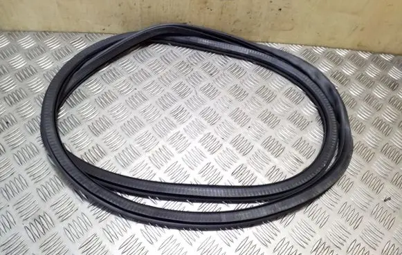 Rear door rubber seal (on body)