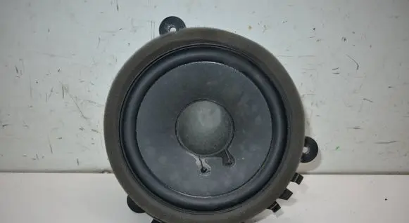 Rear door speaker
