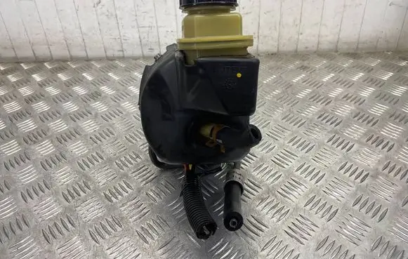 Renault Megane III Power steering pump 491109313R A5097167