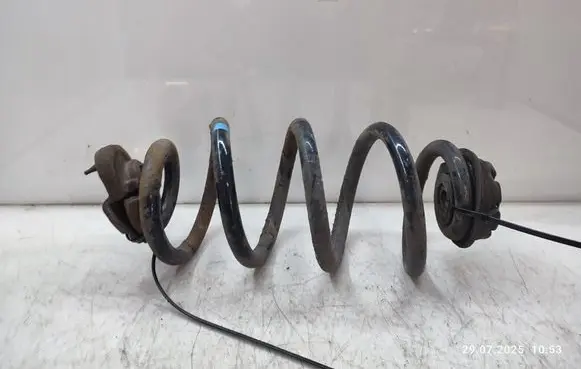 Rear coil spring