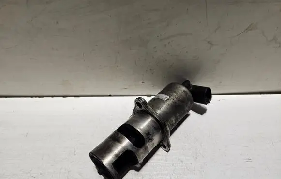 EGR valve