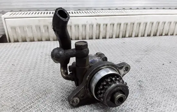 Nissan Almera N16 Power steering pump 491105M321