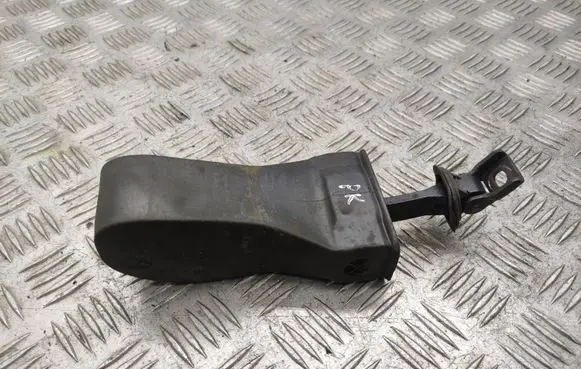 Volkswagen Golf VII Front door check strap stopper